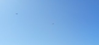 1000005455.jpg