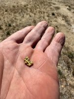 thumbnail_IMG_2236.jpg