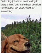 1783351189342.png