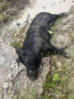 IMG_8162.jpeg
