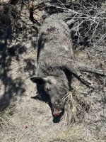 IMG_7323.jpeg