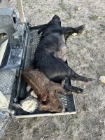 IMG_6986.jpeg