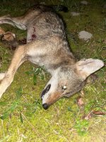 YOTE 06252026.jpg