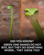 1784419114093.png