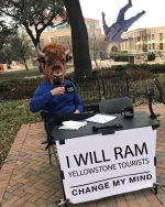 1784506528220.png