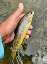 IMG_4463.jpeg