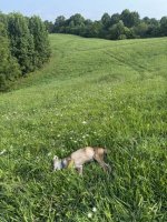 IMG_8759.jpeg