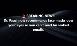 1786465264325.png