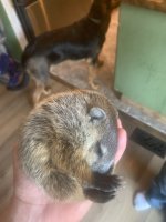 IMG_1913.jpeg