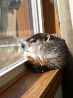 IMG_0012.jpeg