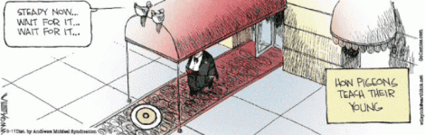 1000005609.gif
