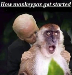 1786979348124.png