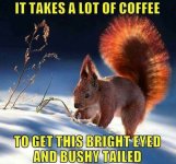 Hilarious-Wednesday-Coffee-Meme-1628610501.jpg