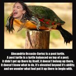 IMG_0167.jpeg