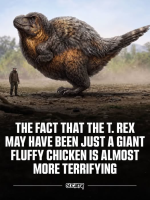 1788990945826.png