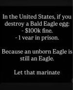 e34a7c492cfcc94de1d822879628247c.jpg