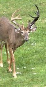 IMG_5139.jpeg