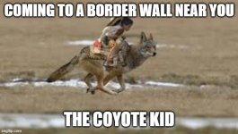 coyote-kid.jpg
