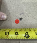 IMG_8651.jpeg