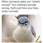 1789323459555.png