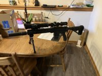 IMG_7538.jpeg