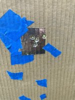 IMG_7548.jpeg