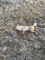 IMG_7950.jpeg