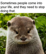 1789779342981.png