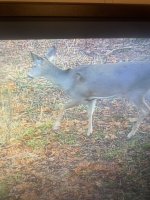 IMG_2472.jpeg