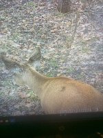 IMG_2471.jpeg