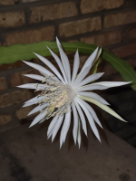 1790392418597.png