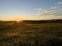 IMG_9092.jpeg