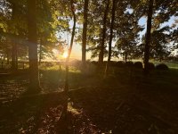 IMG_9100.jpeg