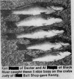 crabs.jpg