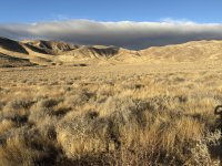 IMG_5306.jpeg
