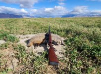 20230921_223002.jpg 20230921_223002.jpg