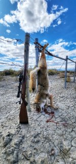 20230921_135556-01-01.jpeg 20230921_135556-01-01.jpeg