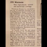 IMG_20240129_195049_955.jpg IMG_20240129_195049_955.jpg