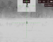 9th coyote 10 11 2023.jpg