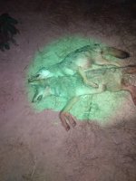 10th double 10 13 23.jpg