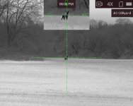 11th coyote at Glenns.jpg