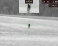 12th coyote at Glenns.jpg