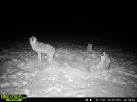 8c98f5f9-0337-472c-83ef-c81c7aca18c4.jpg 8c98f5f9-0337-472c-83ef-c81c7aca18c4.jpg