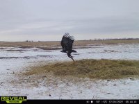 3eb8278e-b4cc-4518-bc6b-22ae0f46d74b.jpg 3eb8278e-b4cc-4518-bc6b-22ae0f46d74b.jpg