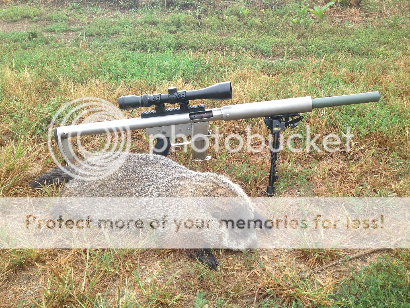 Woohoo finally something good out of the ATF | Predator Masters