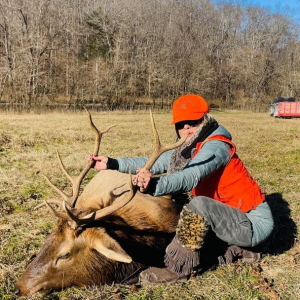 Missouri Elk Harvest