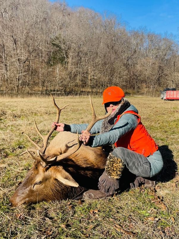 Missouri Elk Harvest